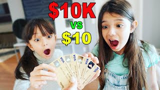 ILL BUY ANYTHING IF YOU PICK THE RIGHT MONEY CARD CHALLENGE 10 VS 10000  Emily and Evelyn [upl. by Aerbua91]