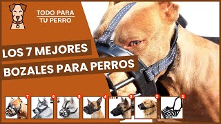 Los 7 mejores bozales para perros [upl. by Ludwog]