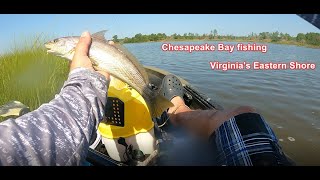 Chesapeake Bay Fishing  Virginias Eastern Shore [upl. by Taam]