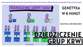 Dziedziczenie grup krwi  Genetyka  Jak robić Krzyżówki Genetyczne  Biologia 8 Klasa  Film edu [upl. by Hsirt]