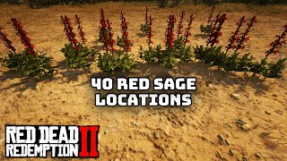 40 Red Sage Locations in Red Dead Redemption 2 [upl. by Anna-Diane642]