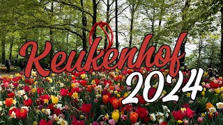 Wonders of The Netherlands  KEUKENHOF  4K Walking Travel Video 🇳🇱 [upl. by Daryle]