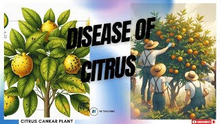 DISEASES OF CITRUS [upl. by Silva]