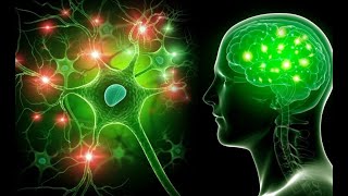 🧠✅El Cuerpo Humano El Sistema Nervioso  Explicación Fácil ✅🧠 [upl. by Annaehr504]