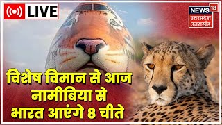 Mission Cheetah LIVE  Namibia से आज भारत आएंगे 8 चीते देश को सौपेंगे PM  Hindi News  News18 [upl. by Akin114]