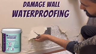 Wall Waterproofing treatment  How To Repair Damp Wall  Texture Damp Proofing [upl. by Joshia]