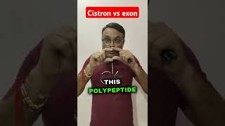 Cistron vs exonpolypetide chain entire dna limituptomrnapankaj sir [upl. by Batchelor]