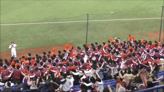 桜美林大学応援シーン①：第四十七回 明治神宮野球大会2016 環太平洋大戦 [upl. by Pena332]