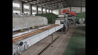 Almond Cracking Shelling Machine [upl. by Aulea938]