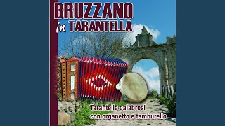 Tarantella Bruzzanita [upl. by Wolfort]