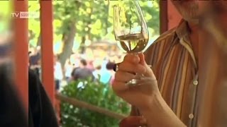 Weinfest Breisach beginnt [upl. by Rese]