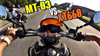 MT 03 vs XT 660 [upl. by Aleuname321]