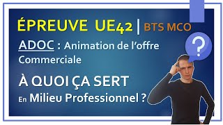 BTS MCO  Epreuve UE42  ADOC Animation Commerciale  A quoi ça sert dans le monde professionnel [upl. by Oicirbaf]