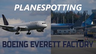 Plane Spotting at Boeing Everett [upl. by Clinton]