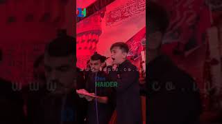 Ya Rab Koi Masooma Zinda mein na tanha ho  Sibtain Haider Nohay  Hassan Sadiq Nohay arbaeen2024 [upl. by Jillie]