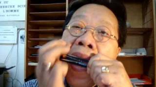 Two Vietnamese traditional melodies on phone card Jews harp [upl. by Metcalf]