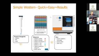 ProteinSimple Getting Started with Simple Western [upl. by Wellesley]