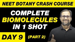 BIOMOLECULES in 1 Shot Part 2  All Theory Tricks amp PYQs Covered  Class 11  NEET [upl. by Jemine623]