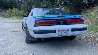 1989 Pontiac Firebird Clips and Pics Lost Footage [upl. by Azriel]