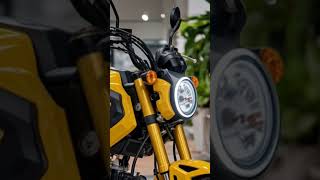 Honda Grom 125 [upl. by Anyar]