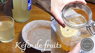 Comment faire du kéfir de fruits 🥰 Recette pas à pas [upl. by Naicad]