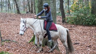 Der Filzsattel im Test  Vergleich mit Reitpads Mustang Uschi äußert klar ihre Meinung [upl. by Billy]