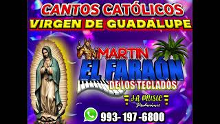 MAÑANITAS A LA VIRGEN DE GUADALUPE cantos católico 2024 MARTÍN EL FARAÓN DE LOS TECLADOS [upl. by Chard]