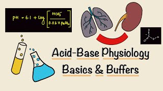 Acid Base Physiology  Part One  Basics  Buffers  Renal Physiology [upl. by Iegres]