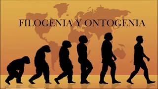 Conceptos de Filogenia y Ontogenia [upl. by Cirilo]