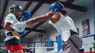 Shakur Stevenson SPARRING Floyd Mayweather prodigy Hitchins ahead of Edwin De Los Santos Fight [upl. by Boehmer792]