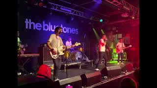 The bluetones slight return [upl. by Millman]