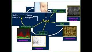 Nutrigenomics [upl. by Bonny]