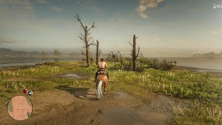 Copperhead Landing  Red dead redemption 2 [upl. by Asoramla133]