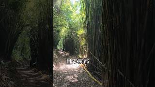 陽明山 橫嶺古道 湖山國小 湖底聚落 紅壇 yangmingshan 양밍산 [upl. by Colligan36]