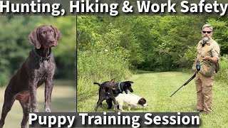 Off Leash Hiking Hunting and Work Safety Training Session with Three Puppies [upl. by Crist202]