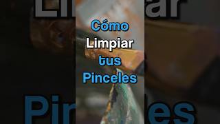 Cómo limpiar tus pinceles y brochas 🖌️ 🎨 shortvideo arte pinturaoleo [upl. by Salvucci]