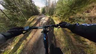 Mtb Trail Riding quotLeapin Wolf Redquot red grade trail Laggan Wolftrax mtb trails Scotlad [upl. by Herodias]