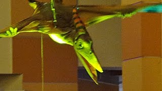 Pteranodon Flying Show [upl. by Yedok]