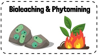 Bioleaching amp Phytomining Alternative Methods of Extracting Metals  GCSE Chemistry Revision [upl. by Nudnarb]