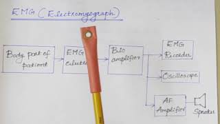 Electromyograph EMG [upl. by Lourie]