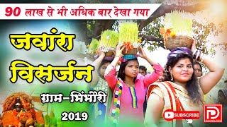 jawara visarjan bhimbhouri  जंवारा विसर्जन ग्राम भिंभौरी बेरला [upl. by Estey]