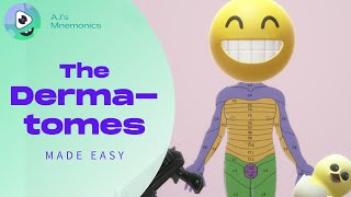 How to Easily Memorize the Dermatomes [upl. by Annawit641]