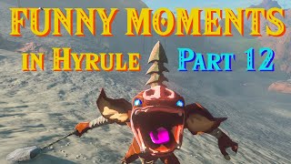 Funny Moments in Hyrule Part 12  The Legend of Zelda Tears of the Kingdom [upl. by Marco]