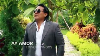 AY AMOR  EDISON PINGOS VIDEO OFICIAL [upl. by Eltsyrc]