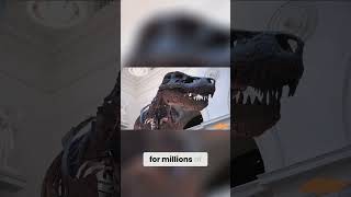 The Deadly Asteroid Impact The End of the Dinosaur Age shortsvideo space universe science fact [upl. by Poore]