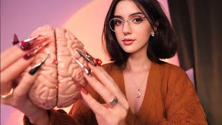 ASMR Brain Melting Triggers to Help You Sleep [upl. by Tita]