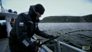 Legend of Loch Ness  How to Catch a Greenland Shark  River Monsters [upl. by Stalder]