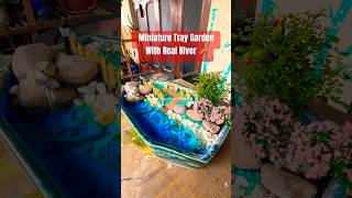 How to Make Miniature Tray Garden With Real River shots shotsfeed miniaturegarden diy howto [upl. by Nezah750]