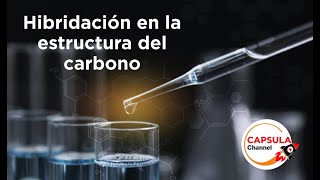 Hibridación en estructuras orgánicasTutorial FACIL y SENCILLO 🔥🔥🔥 [upl. by Eimmac165]