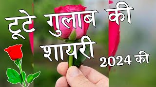 टूटे गुलाब की शायरी 2024 🌹Tute Gulab Ki Shayari 🌹 Gulab Shayari [upl. by Prisca]